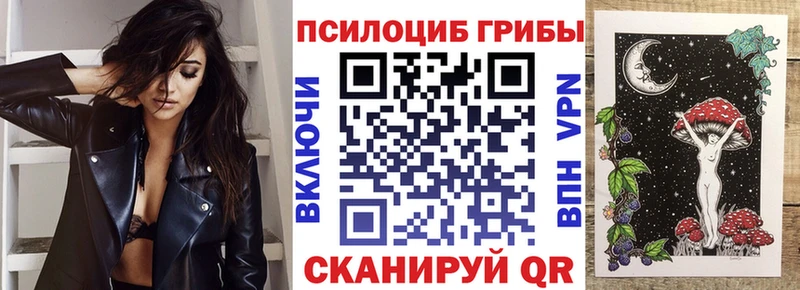 Галлюциногенные грибы мицелий  Тайга 